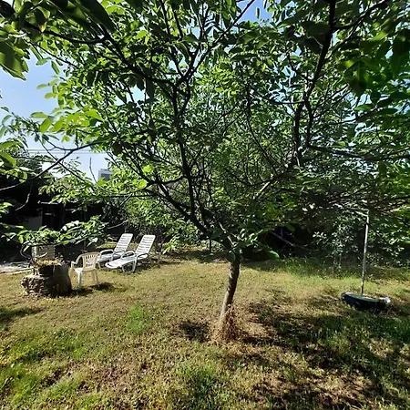 Garden Apartment