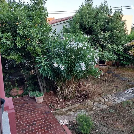 Garden *